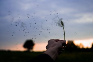 Photo By Oliver Hihn On Unsplash